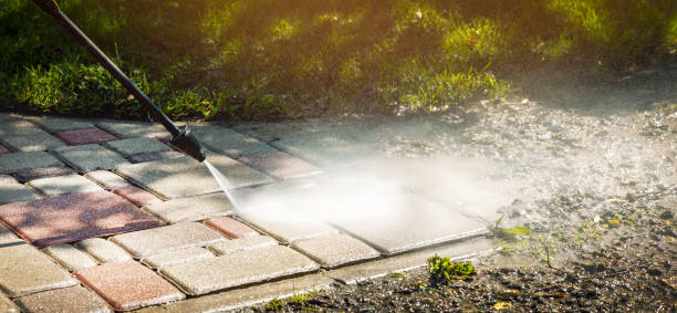 Trusted Hackleburg, AL Pressure washing Experts